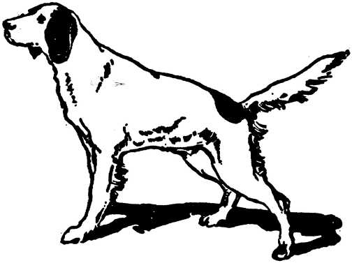 Black white dogs dog graphics