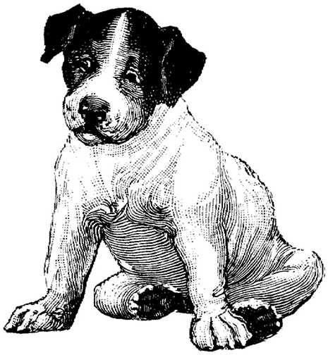 Black white dogs dog graphics