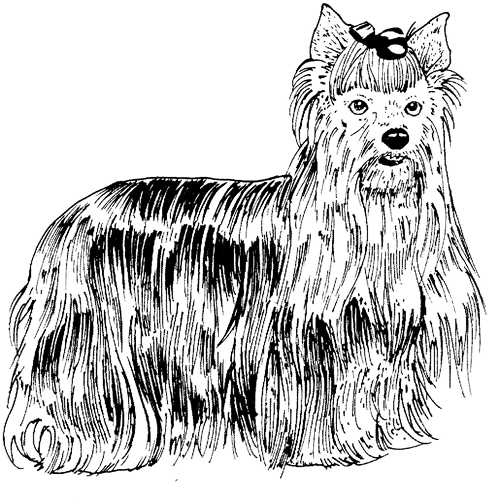 Black white dogs dog graphics