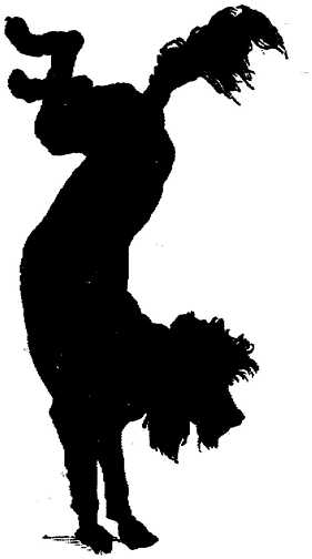 Black white dogs dog graphics