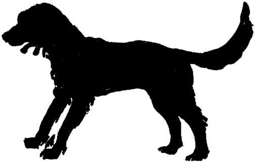 Black white dogs dog graphics