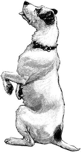 Black white dogs dog graphics