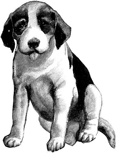 Black white dogs dog graphics