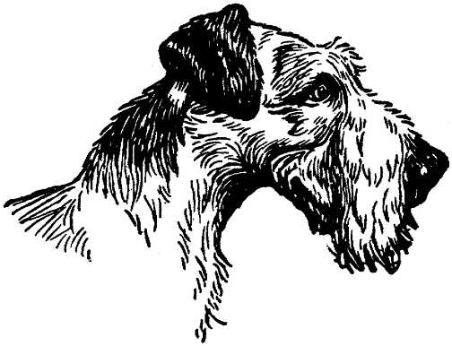 Black white dogs dog graphics