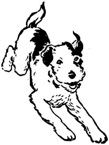 Black white dogs dog graphics