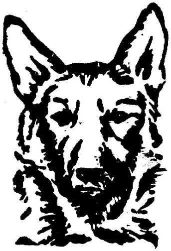 Black white dogs dog graphics