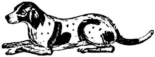 Black white dogs dog graphics