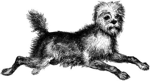 Black white dogs dog graphics