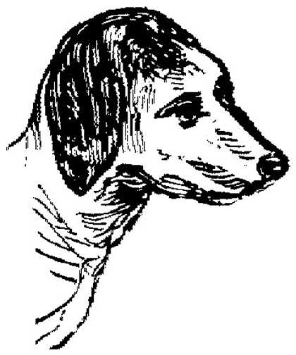 Black white dogs dog graphics