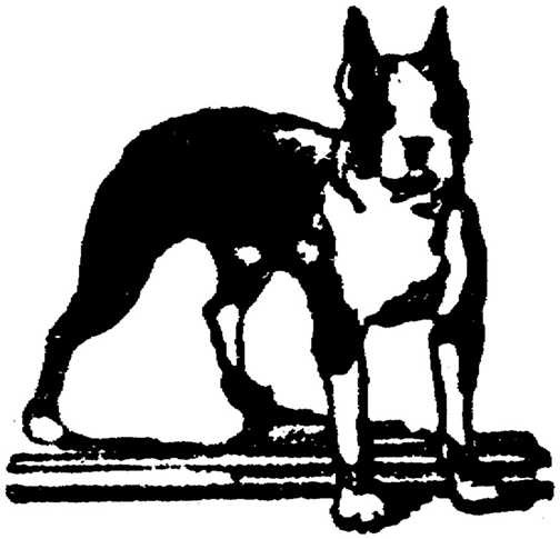 Black white dogs dog graphics