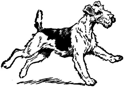 Black white dogs dog graphics