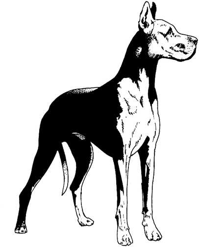 Black white dogs dog graphics