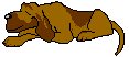 Bloodhound dog graphics