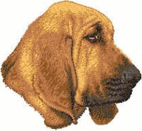 Bloodhound dog graphics