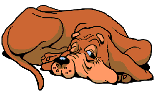 Bloodhound dog graphics