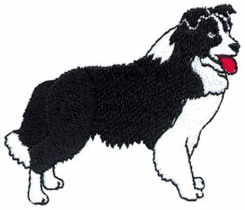 Border collie dog graphics