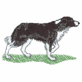 Border collie dog graphics