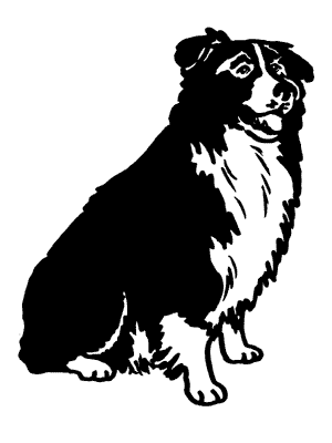 Border collie dog graphics
