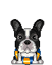 Boston terrier dog graphics