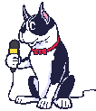 Boston terrier dog graphics