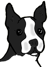 Boston terrier dog graphics
