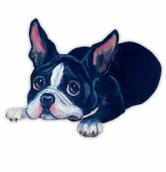 Boston terrier dog graphics