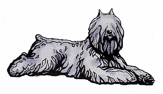 Bouvier des flandres dog graphics