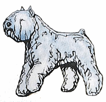 Bouvier des flandres dog graphics