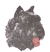 Bouvier des flandres dog graphics