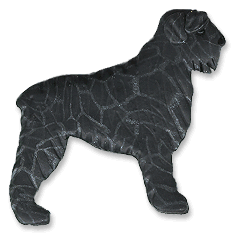 Bouvier des flandres dog graphics