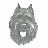 Bouvier des flandres dog graphics