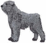 Bouvier des flandres