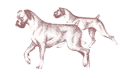 Boxers dog graphics