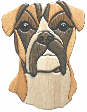 Boxers dog graphics