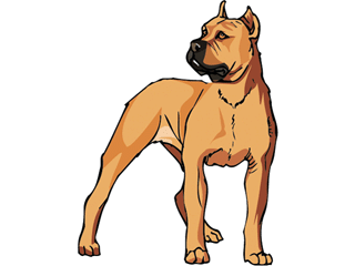 Boxers dog graphics