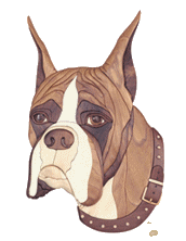 Boxers dog graphics