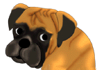 Boxers dog graphics