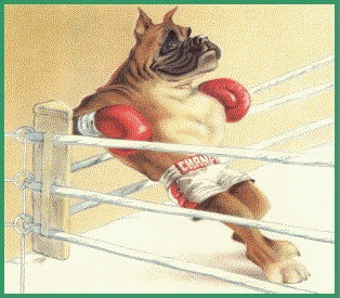 Boxers dog graphics