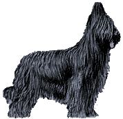 Briard dog graphics