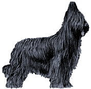 Briard dog graphics