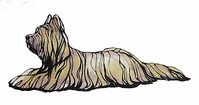 Briard dog graphics