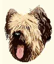 Briard dog graphics