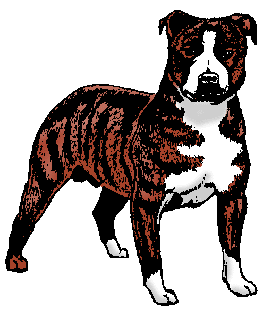 Bull terrier dog graphics