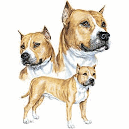 Bull terrier dog graphics