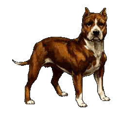 Bull terrier dog graphics