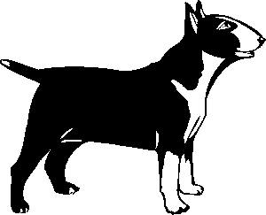 Bull terrier dog graphics