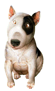 Bull terrier dog graphics