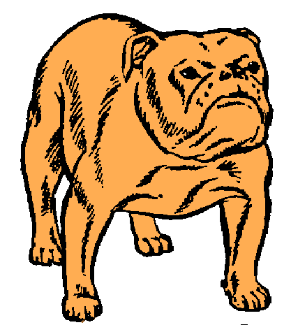 Bulldog