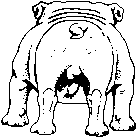 Bulldog dog graphics