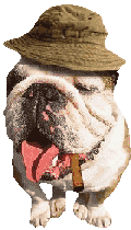 Bulldog dog graphics